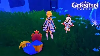 The Forest and the Princess | Genshin Impact