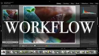 Photography Editing Workflow using Adobe CC Lightroom and Photoshop