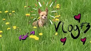 Vlog 3, get ready with me (placement days)