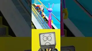 TESTE DE SIGMA from Pomni for Jax & Caine The Amazing Digital Circus Animation