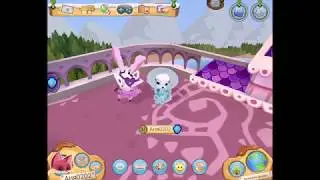 Animal jam play wild......@_@......Енот