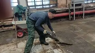 Электродятел