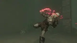 Sekiro player in vr be like