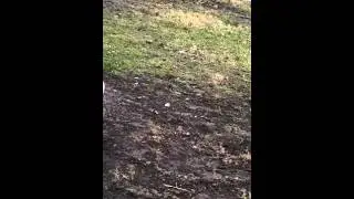 Crazy ass meth love