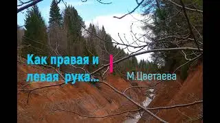 М Цветаева  Как правая и левая рука 