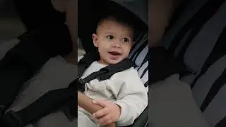 Прогулочная коляска Lynn | Happy Baby