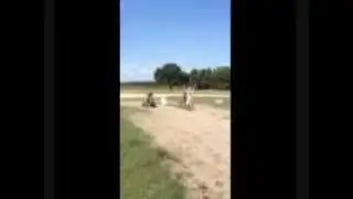 Warriorvs400