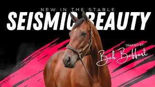 Introducing Seismic Beauty: Trained by Bob Baffert