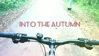 Into the autumn