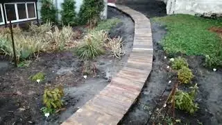 ХВОЙНЫЕ РАСТЕНИЯ ПОД ДОЖДЕМ. 28.10.23 год.