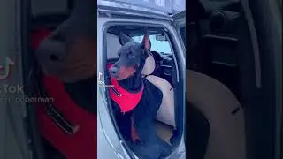 Иди наружу