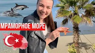 #12 ТАКОГО МОРЯ МЫ ЕЩЕ НЕ ВИДЕЛИ