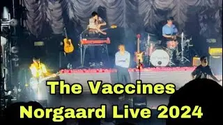 The Vaccines - NORGAARD Live 2024!!