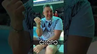 За друзей Стас Ташкентский #топ #musik2024 #шансон #shanson #Стаа Ташкентский