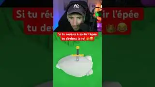 SI TU RÉUSSIS À SORTIR L’ÉPÉE TU DEVIENS LE ROI 👑😂