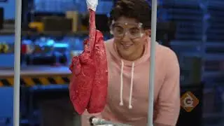 Fun K-8 Science Lessons with Activities, Teacher Resources, and More
