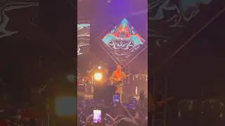 gnawa difussion festival essaouira 2023#short #algerie #maroc #gnawa #essaouira