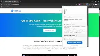 Free Site SEO Audit Chrome Extension - SEOAegis