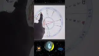 February 19th - Pisces Season Begins, Ruminating With New Interdimensional Baby in The Womb