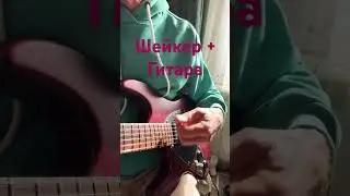 Шейкер + Гитара