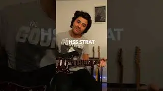 9 Guitars Back To Back 