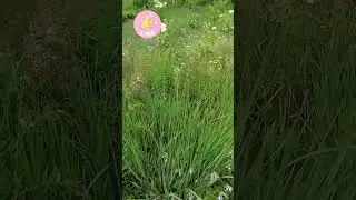 В парке оказывается ЕСТЬ....