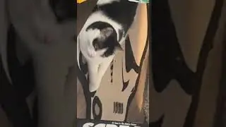 Kitty