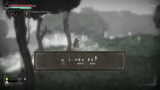 Salt & sanctuary