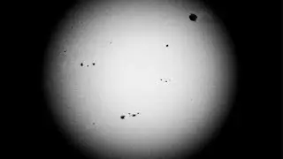 HIGH Sunspot Activity (July 9-2023) Nikon P1000