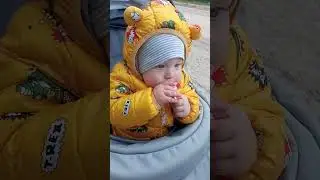 у маленького сына лезут зубы