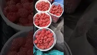 Последние дары золотой осени