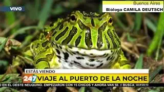 #ESCUERZO | LEYENDAS Y VERDADES