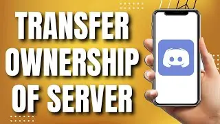 How To Transfer Ownership of Discord Server on Mobile (NEW 2023)