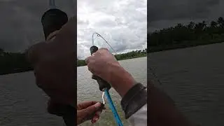 Ikan Idaman Yang ku nanti2 😍 #mancingmania #fishingvideo