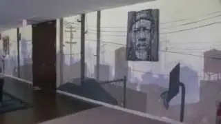 Fox 5 San Diego Feature