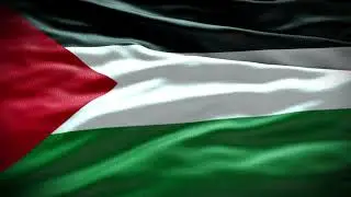 PALESTINE FLAG FREE STOCK FOOTAGE 4K