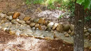 Your Moment of Zen