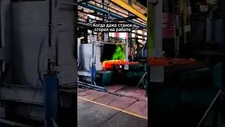 Смотреть до конца 👀 Мы приехали в гости на производство наших клиентов, а тут этот зверь #смешно