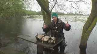 GREAT HUNTING WITH DECOY DUCK 2024!!! SAMSA FROM A MALE!!!