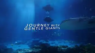 GEORGI Aquarium 2021