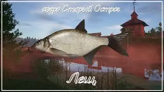 Лещ - озеро Старый Острог - РР4┃maXS1k