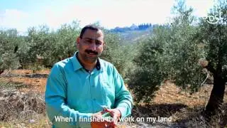 Olive Oil Harvest Palestine - M.OOST videos