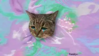 kuukyo - I'm Nothing (future riddim ID)