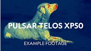 Example Footage | Pulsar Telos XP50 Thermal Imaging Camera