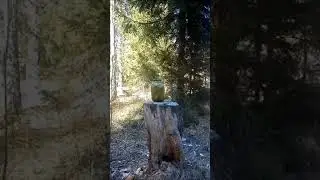 ОСА против огурца #guns