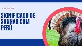 Sonhar com perú significado completo