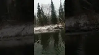 кроколил пойман