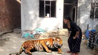 Tigar funny vfx magic with giral| How make vfx video | funny vfx video editing@vfxkarki
