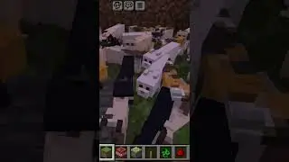 #cat #love #you #minecraft