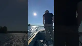 Без слов #лес #мысли #рыбалка #душа #fishing #reels
